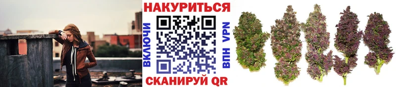 Купить наркотики сайты Курск Alpha PVP  МЕФ  COCAIN  ГАШ  МАРИХУАНА 