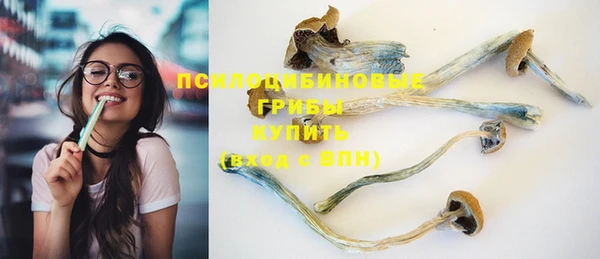крисы Бугульма