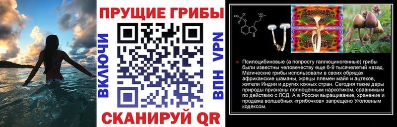 Галлюциногенные грибы Psilocybe  продажа наркотиков  KRAKEN tor  Курск 